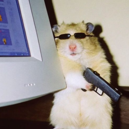 MOFROCAT Image